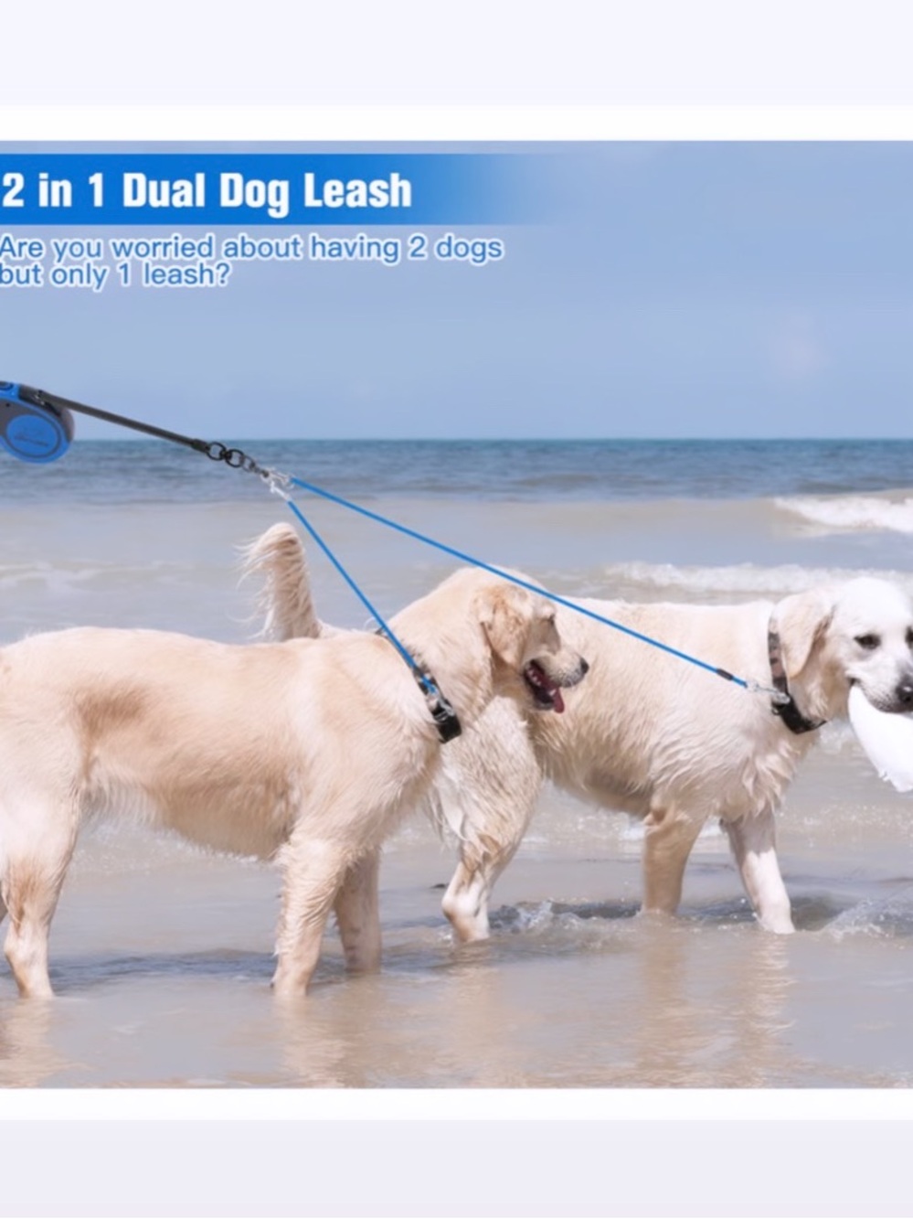 🐶 DUAL Retractable Clip On Dog Leash | DOG WALKING